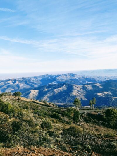 Juniper Trail - Walnut Creek, CA