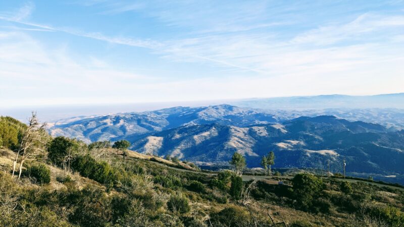 Juniper Trail - Walnut Creek, CA
