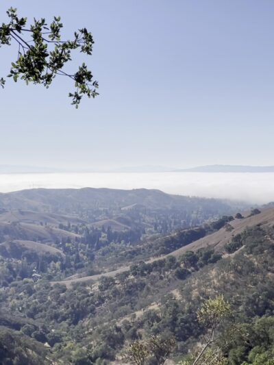 Mount Diablo State Park - Walnut Creek, CA
