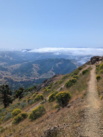 Mount Diablo State Park - Walnut Creek, CA