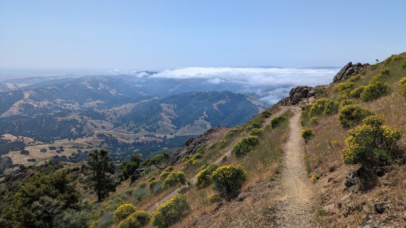 Mount Diablo State Park - Walnut Creek, CA