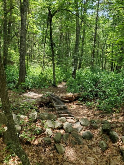 Adams Farm - Walpole, MA