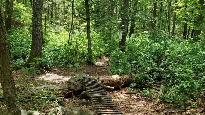 Adams Farm - Walpole, MA