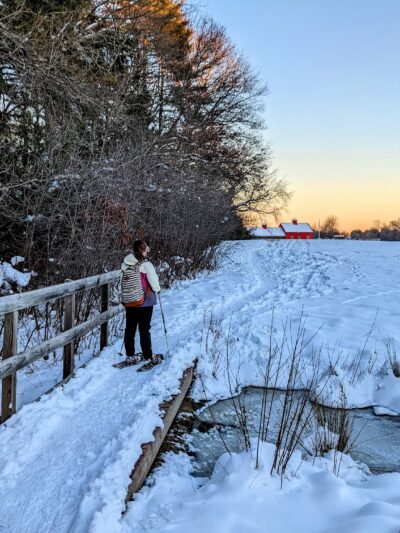 Adams Farm - Walpole, MA