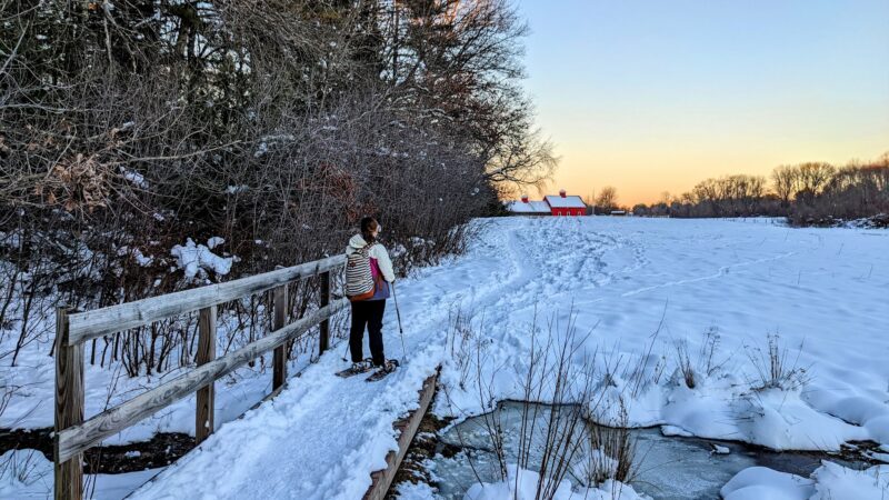 Adams Farm - Walpole, MA