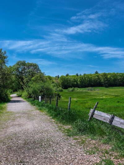 Adams Farm - Walpole, MA