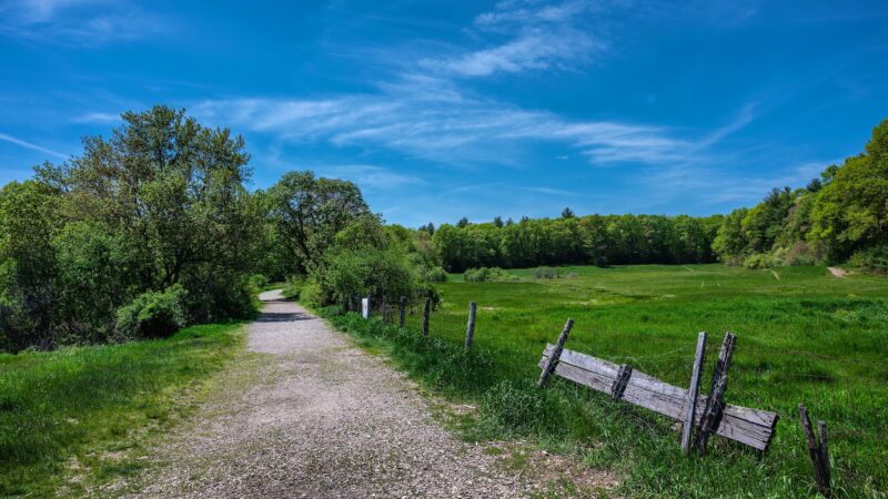 Adams Farm - Walpole, MA