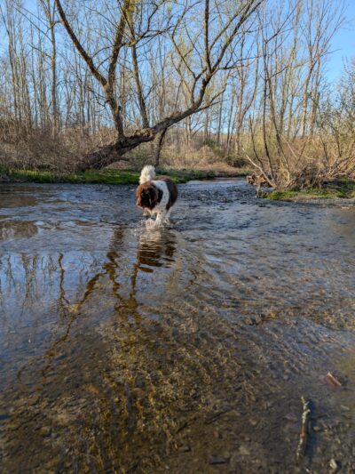 Woodbourne Park - Wantage, NJ