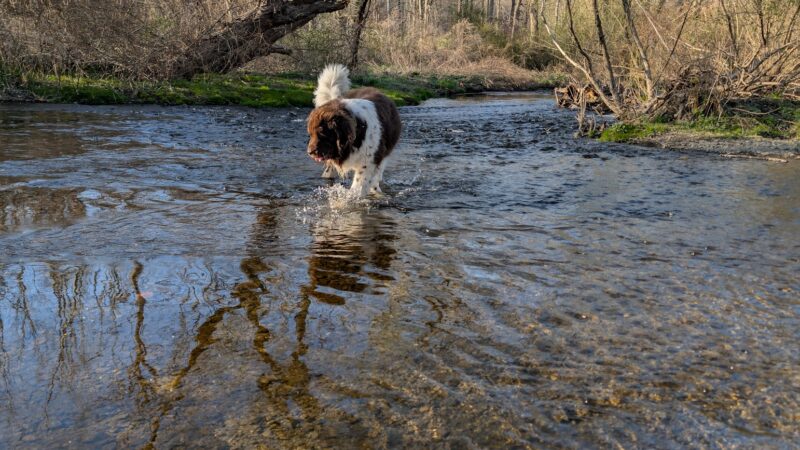 Woodbourne Park - Wantage, NJ