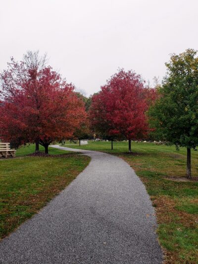 Woodbourne Park - Wantage, NJ