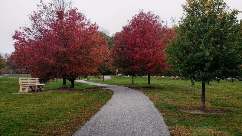 Woodbourne Park - Wantage, NJ