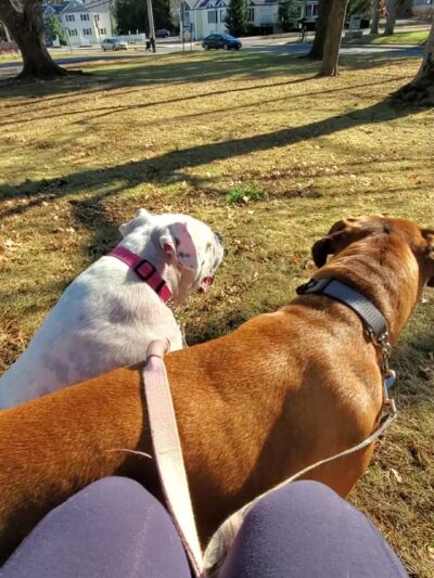 Mesier Park - Wappingers Falls, NY