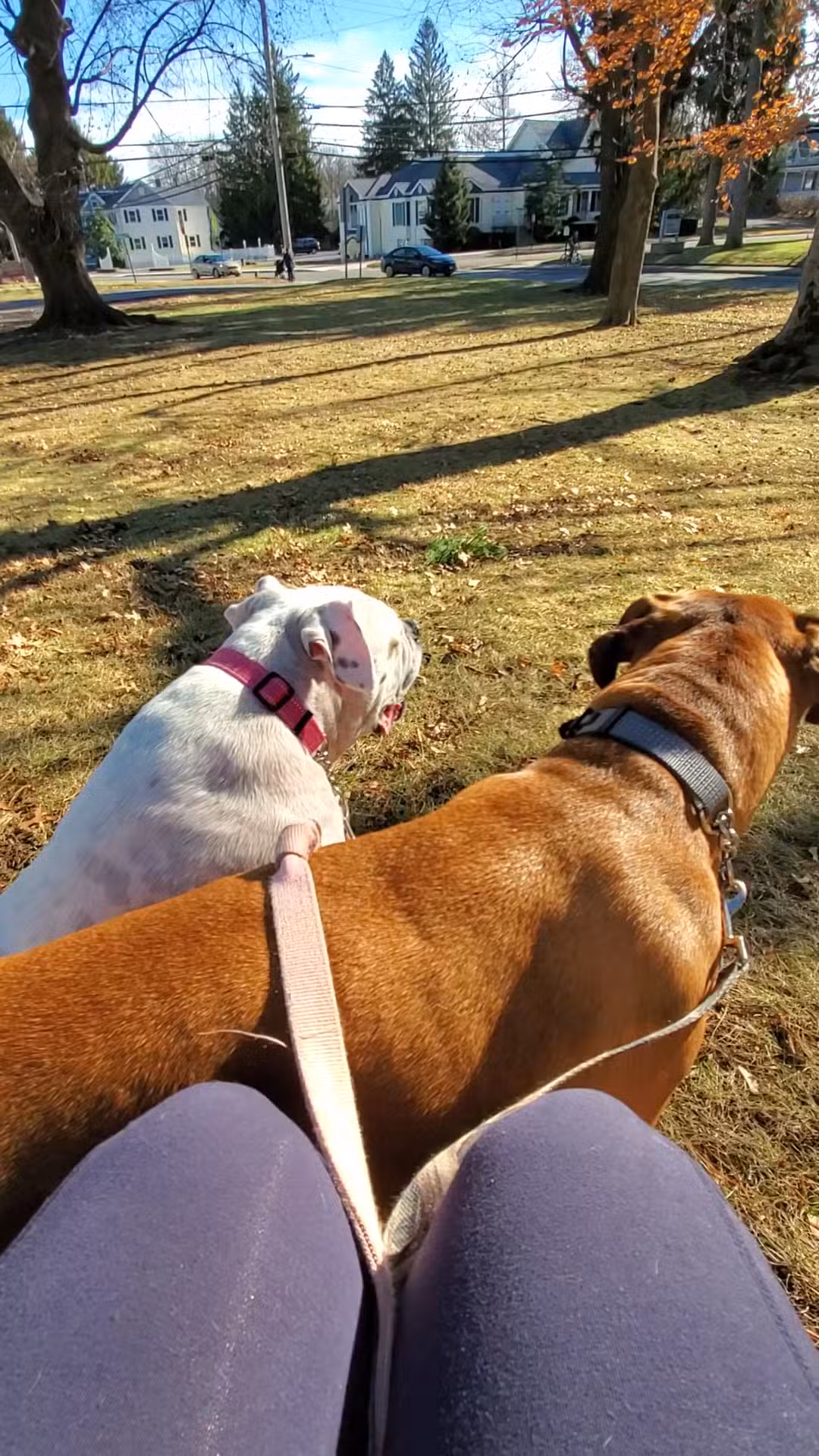 Mesier Park - Wappingers Falls, NY