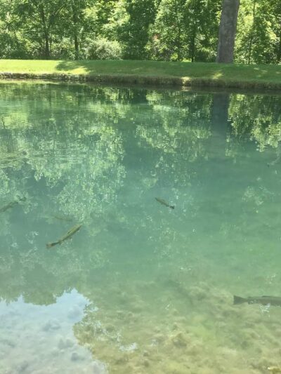 Warm Springs - Warm Springs, VA
