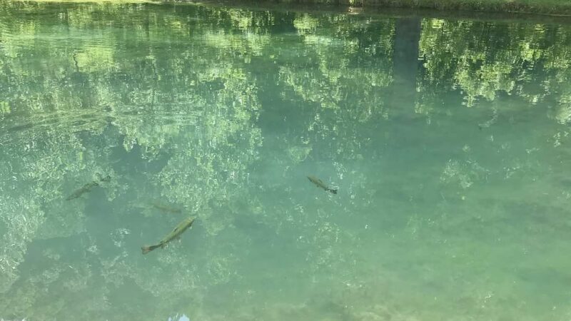 Warm Springs - Warm Springs, VA