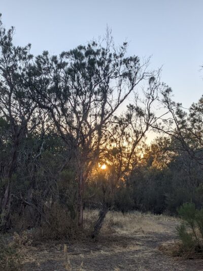 Oak Grove Campground - Warner Springs, CA