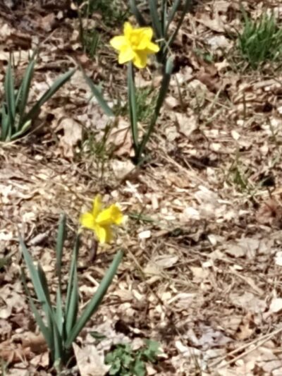 Lucy Stone Park - Warren, MA