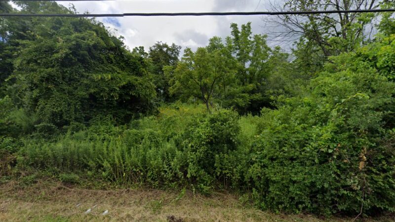 Codington Farm Trails - Warren, NJ