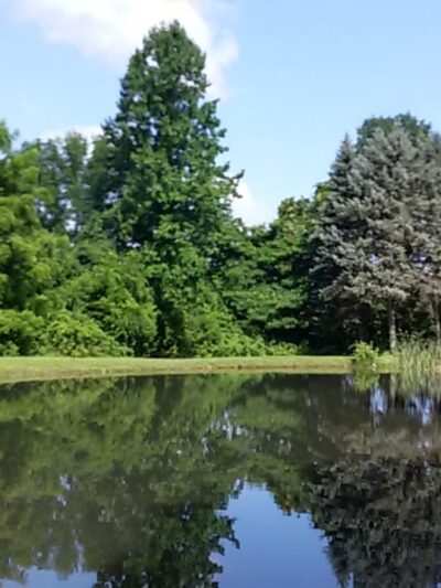 East County Reserve / Park Turf Field - Warren, NJ