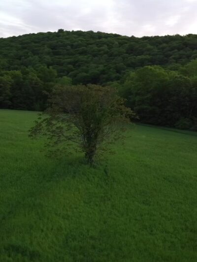 Warwick County Park - Warwick, NY