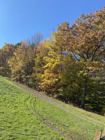 Warwick County Park - Warwick, NY