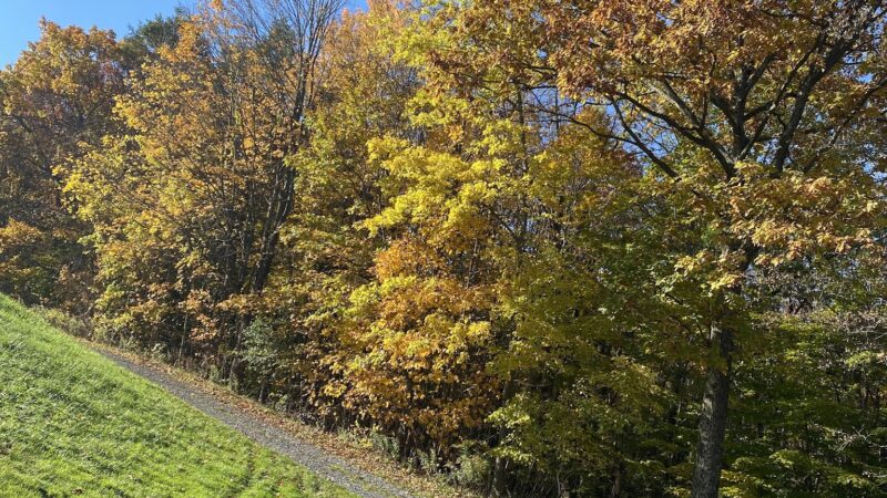 Warwick County Park - Warwick, NY