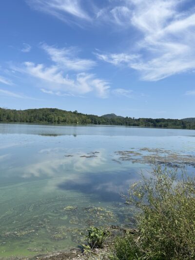 Wickham Woodlands - Warwick, NY