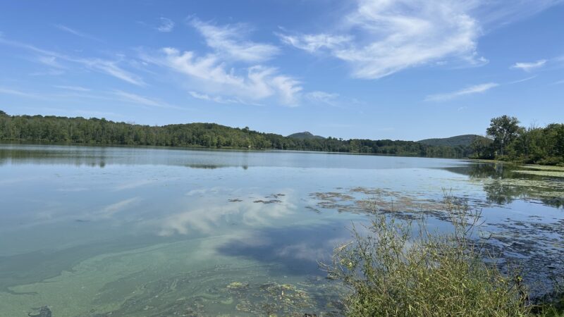 Wickham Woodlands - Warwick, NY