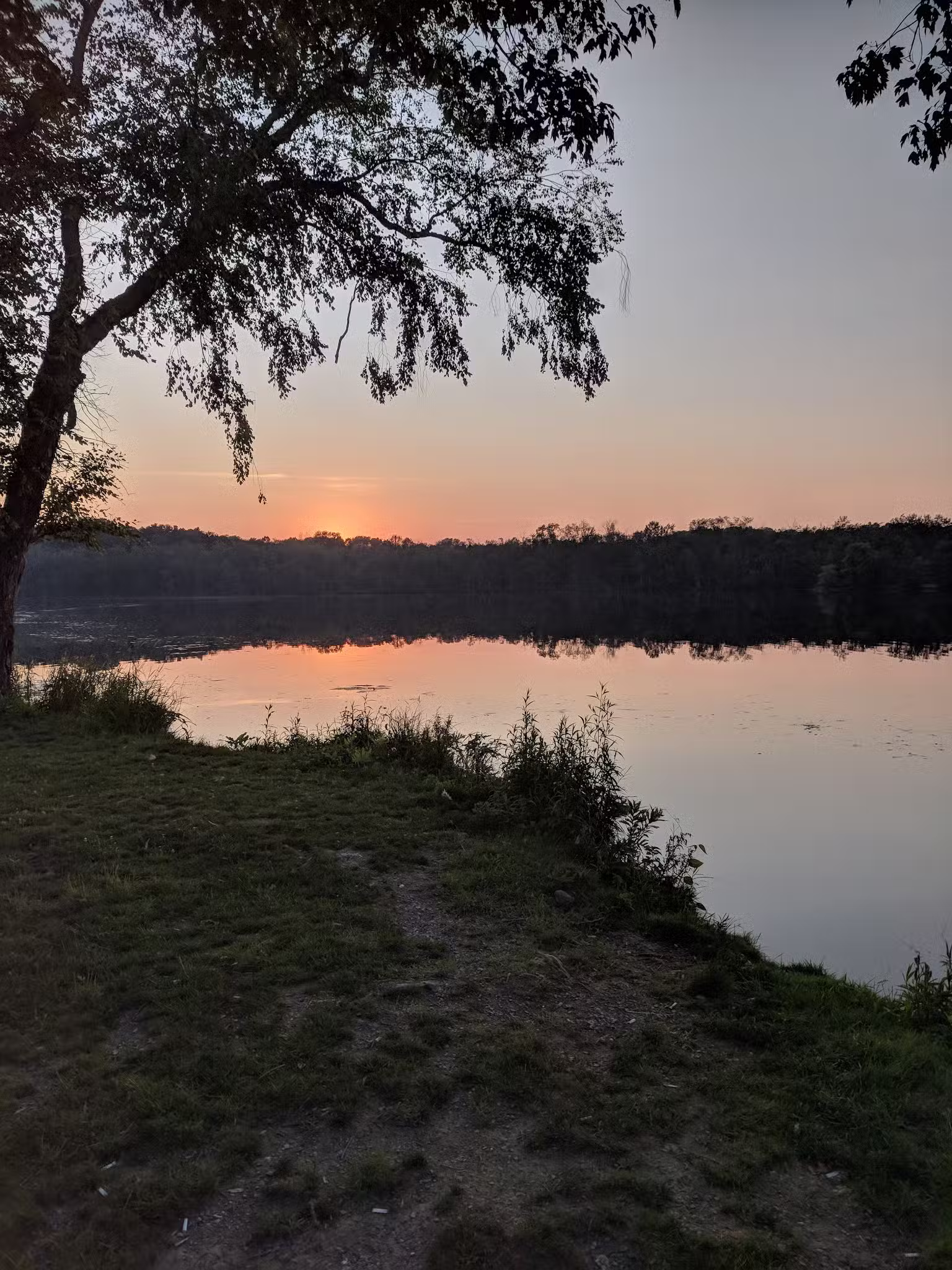 Wickham Woodlands - Warwick, NY