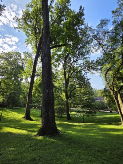 W Street Park - Washington,