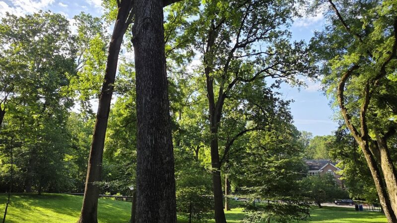 W Street Park - Washington,