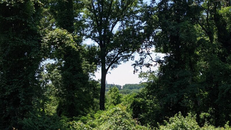 Barnard Hill Park - Washington,