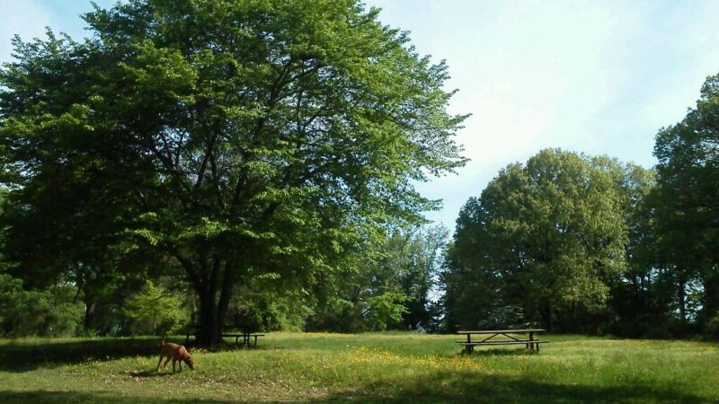 Barnard Hill Park - Washington,