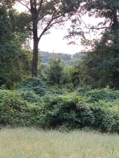 Barnard Hill Park - Washington,