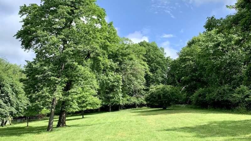 Barnard Hill Park - Washington,