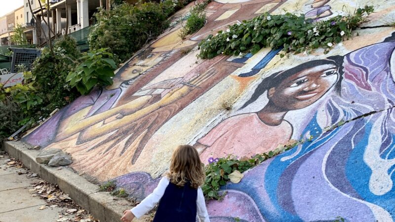 Bruce Monroe Community Park - Washington,