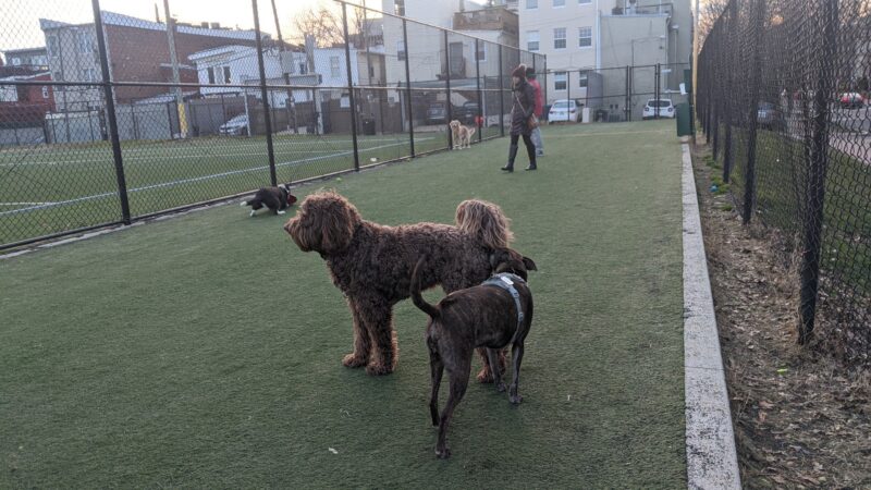 Bundy Field - Washington,