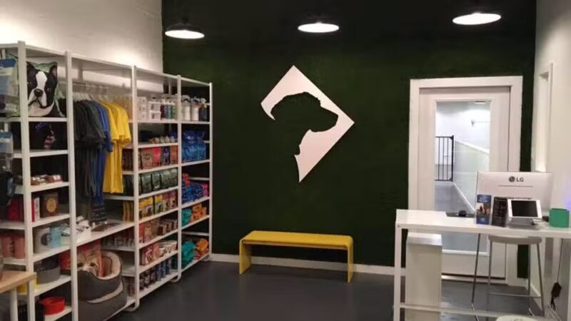 District Dogs Enrichment Facility - Washington,