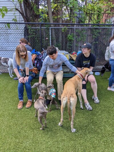 District Dogs Enrichment Facility - Washington,