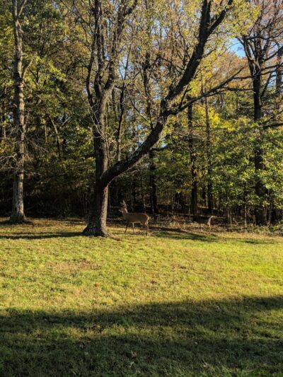 Fort Totten Park - Washington,