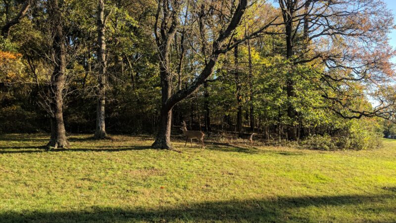 Fort Totten Park - Washington,
