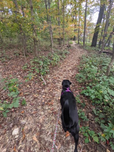 Fort Totten Park - Washington,