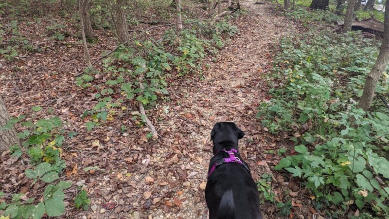 Fort Totten Park - Washington,
