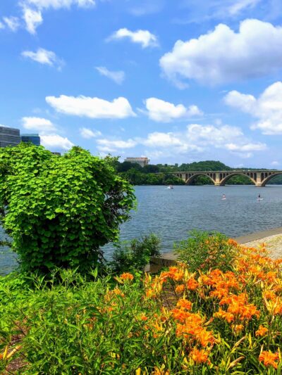 Georgetown Waterfront Park - Washington,