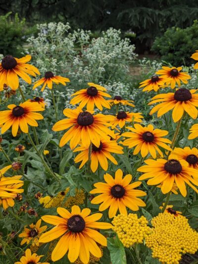 Grant Circle Park - Washington,