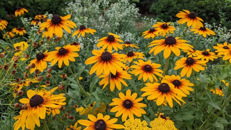 Grant Circle Park - Washington,