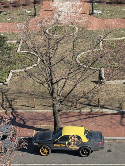 Judiciary Park - Washington,