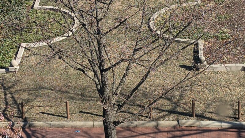 Judiciary Park - Washington,