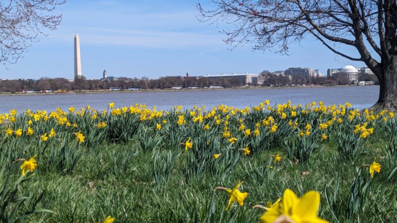 Lady Bird Johnson Park - Washington,
