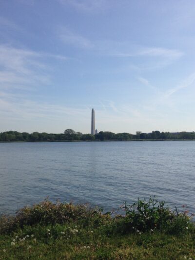 Lady Bird Johnson Park - Washington,